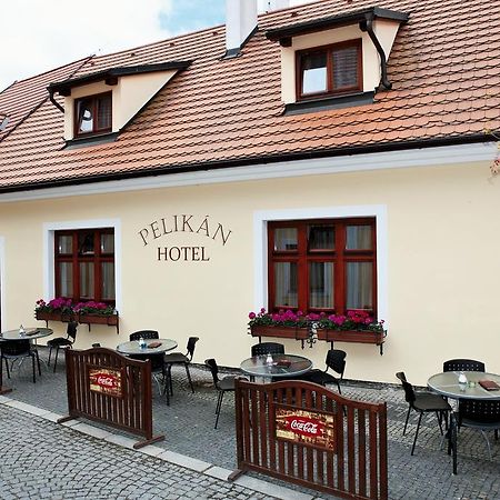 Hotel Pelikan Třeboň Екстериор снимка